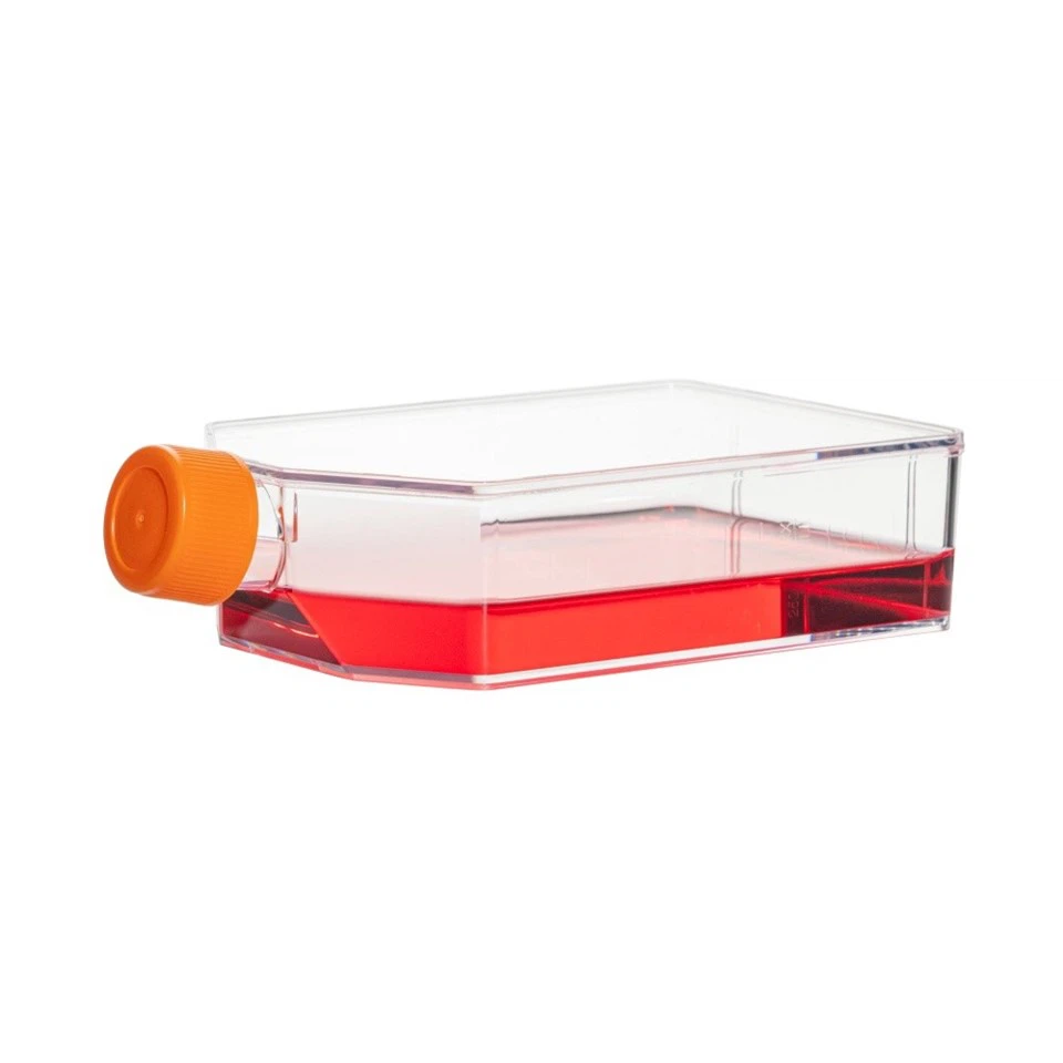 T175 Cell Culture Flask (3)